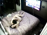 破解家庭网络摄像头监控偷拍帅哥美女开着电视翻云覆雨