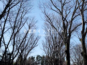 [HMN-569] 新人 めっちゃ爽やか美少女専属決定！自由を手に入れた現役女子大生 中出しAV DEBUT 天沢りん - 1of5