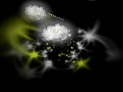 C0930 ki241121 宇崎 百合恵 43歳