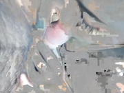 女神範氣質白領美女下班後和公司帥氣男經理居家偷情私會 各種姿勢嘗試從床上幹到客廳沙發上 玩的太猛了 國語1080P高清