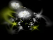 C0930 ki250114 中山 美紀子 37歳