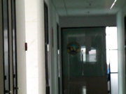 國內廁拍大神TK哥潛入某大廈公共女廁偷拍各式白領小姐姐尿尿 雪白大屁股看得讓人欲火焚身 720P高清原版