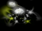 H4610 ki240706 おしっこ特集