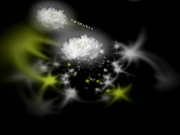 H4610 ki240725 木口 ゆめ 24歳