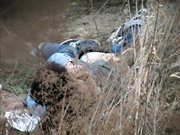 网曝不雅门事件，西安桃花潭公园两学生情侣荒草掩护席地野战，干完用纸巾擦 擦