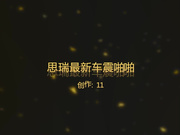 PANSI颜值高,腰细胸大的模特女神思瑞最新系列--一个人在家突然想要了,约的人刚到已经忍不住跑到车里车震起来!