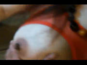 酒店约炮单位熟女会计梅姐第一季