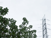 暗恋以久的羽球学姐 与教练的私蜜训练