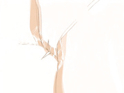 処女オークション 落札編