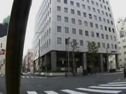 [BAD-005] 人妻野外紀行 ～露出と云う禁断の快楽～