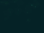 [Studio Fow-010]The Royal Treatment