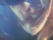 植敬雯《聊斋艳谭之五通神》1