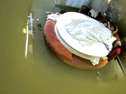 精品酒店偷拍奇芭年轻小情侣啪啪前互相给按摩一下看这女友浓密的逼毛性欲一定很强