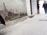 城中村嫖妓之站在巷口打扮的挺时髦的短裙妹子估计没干多久逼逼挺紧1080P高清多视角拍摄