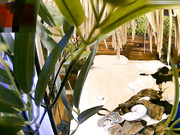 精品小旅馆绿叶房偷拍B哥哥放假和女朋友开房啪啪哥的腰力不错干得猛