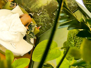 精品推荐小旅馆绿叶房偷拍小伙泡风骚少妇，上位骑着啪啪响两个奶子还挺坚挺的