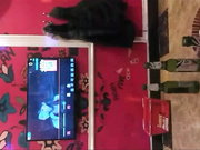 对白真搞笑剧情演绎好赌风骚少妇刚借完又输了只好又来已肉抵债借钱穿上黑网袜干花心还挺粉嫩的K房唱歌又干一炮