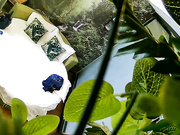 精品小旅馆偷拍短小眼镜小胖女友对他很满意完了还给他香吻