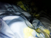 小鲜肉微信约炮模特巨乳姐姐附聊天记录艳照高清完整版