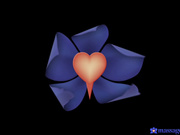 推油按摩啪啪-性感国外美女全身抹油按摩深喉口交被肌肉猛男各种暴操