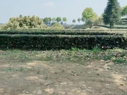 粉嫩系大学生美女课余（网课）捞外快重庆植物园内搭讪工作人员到路边车震啪啪啪