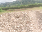 户外车内后入风骚人妻