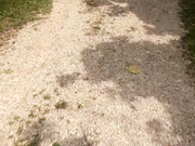 [BEB-090] 青奸露出-色情狂淫乱女人- 波多野結衣【破解】 - 1of5