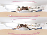 VR BANGERS-Bridgette B Teach Dillion Harper How To Blow!