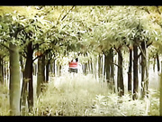 情趣內衣寫真40