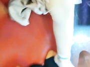 美女和2男一起在豪华包厢锁着门在里面群交