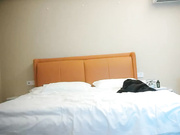 大屌生无可恋肉丝大屁股翘起吃屌各种轮操